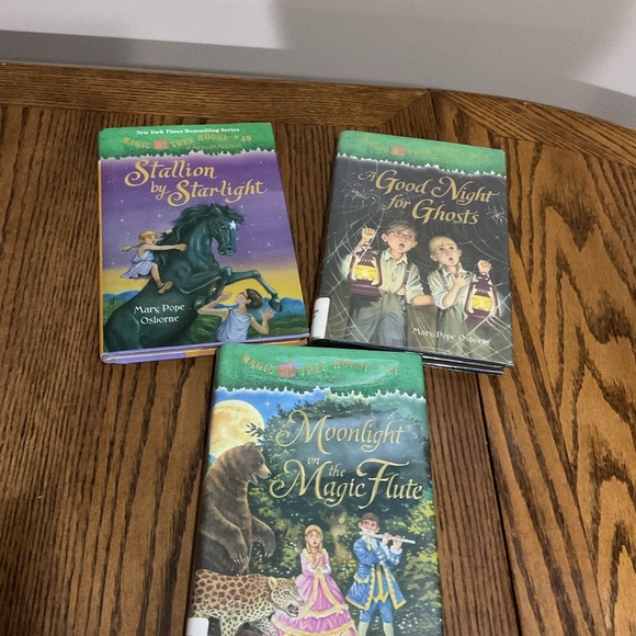 11 Magic Tree House books 📚 Merlin Mission - Picture 10 of 13
